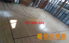 壁球場(chǎng)館有哪些類(lèi)型木地板