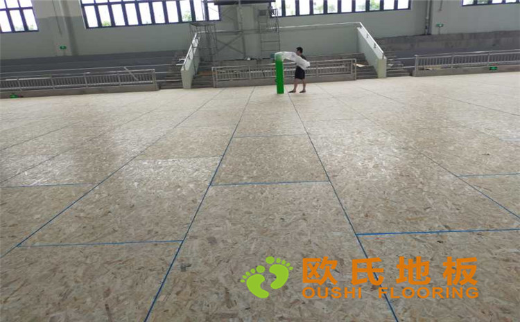 長沙縣湘龍街道石子高沙社區(qū)長沙軌道交通水渡河車輛段體育館木地板案例-歐氏運(yùn)動(dòng)木地板廠家