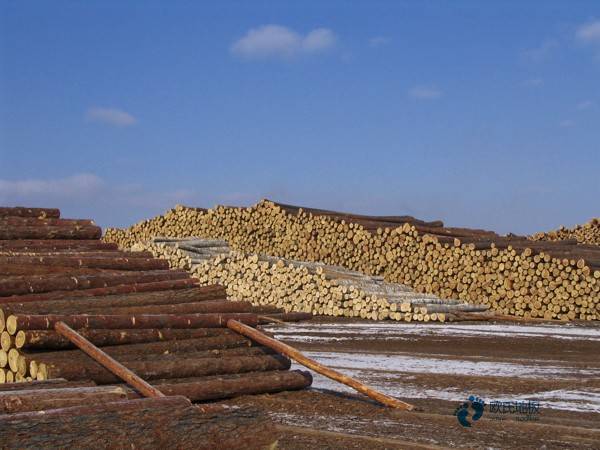 福建室內(nèi)運(yùn)動(dòng)木地板前十